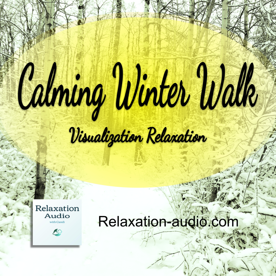 Calming Winter Walk Visualization Relaxation